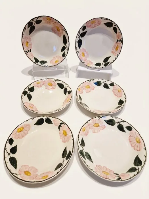 Villeroy & Boch - Plate (6) - Wild-Rose, Wildrose - Porcelain - soup plate