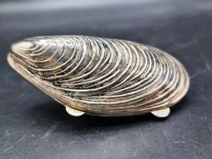 Box -.800 silver - pill holder