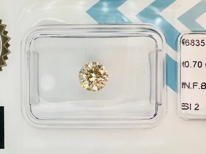 1 pcs Diamond (Natural coloured) - 0.70 ct - Round - Fancy Brownish, Yellow Yellow - SI2 - International Gemological Institute (IGI) - ( NATURAL )