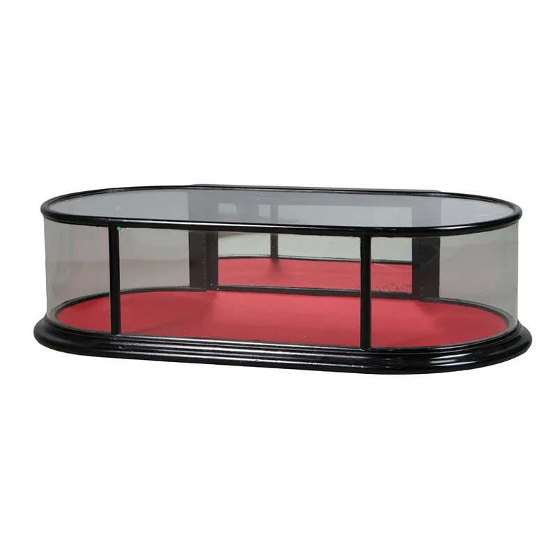 A Late 19th Century Ebonised and Glass Table Top Display Case
