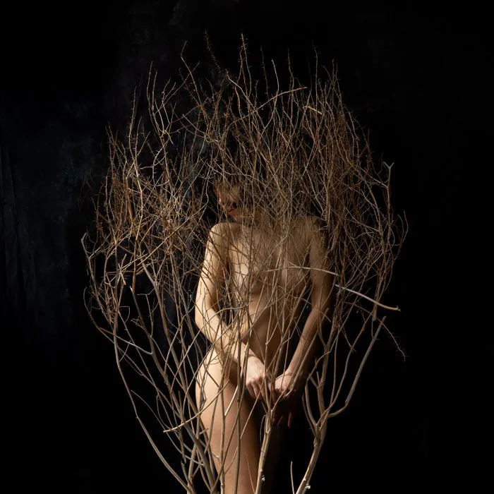 Tatiana Cardellicchio - Among Branches and Darkness pt.2