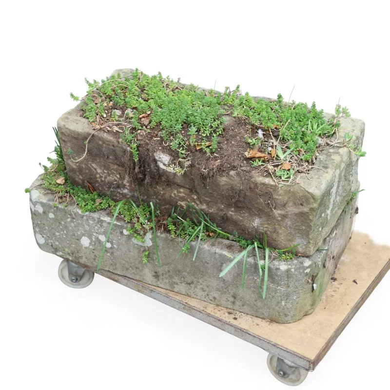 Two Stone Troughs