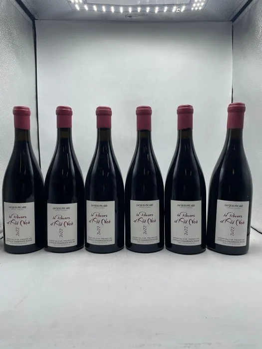 2022 Jacques Picard "Le Reverse D'Ail Noé" - Coteaux Champenois Rouge - 6 Bottles (0.75L)
