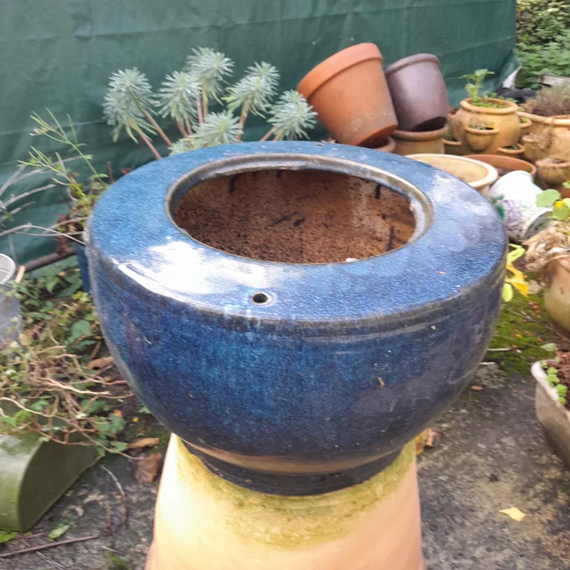 Vintage Chinese blue glaze stoneware storage jar missing handle and wooden lid as a planter
