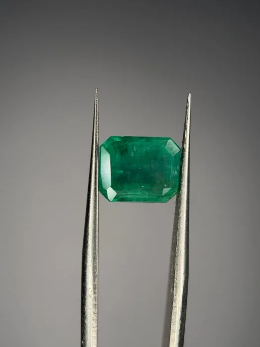 1 pcs Green Emerald - 2.95 ct - International Gemological Institute (IGI) - EU Duty-Free