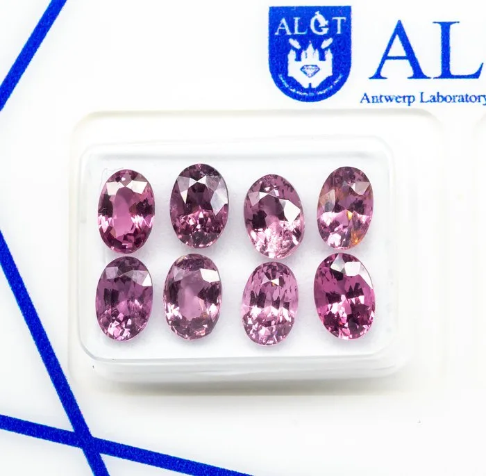 8 pcs Spinel - 4.91 ct - Antwerp Laboratory for Gemstone Testing (ALGT) - Intense Vivid Pink
