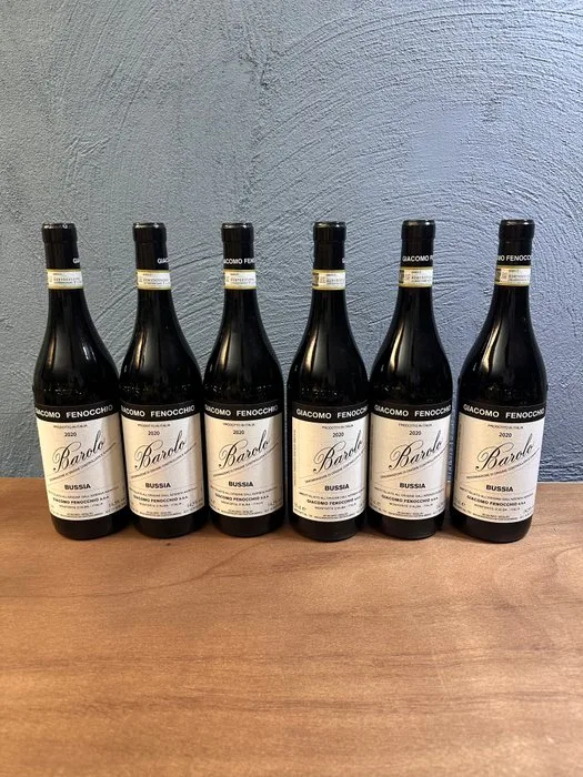 2020 Giacomo Fenocchio Bussia - Barolo DOCG - 6 Bottles (0.75L)