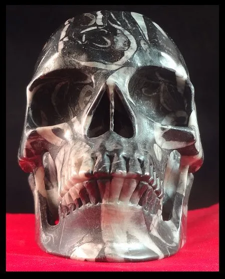 Schelpsteen Skull - Height: 10 cm - Width: 8.5 cm- 1363 g - (1)