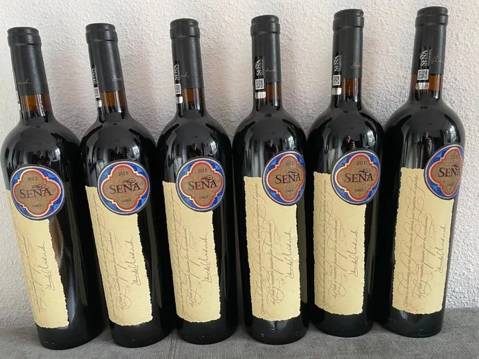 2021 Viña Seña, Mondavi & Chadwick - Aconcagua Valley - 6 Bottle (0.75L)