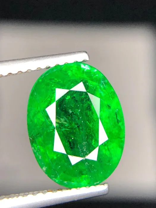 1 pcs Green Tsavorite - 4.21 ct - International Colored Gemstone Association (ICA GemLab) - Lovely Tsavorite #1183