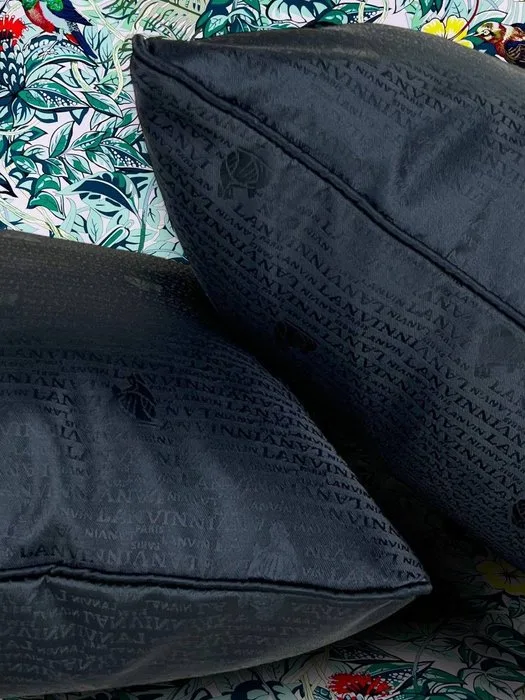 Lanvin - New set of two - Cushion