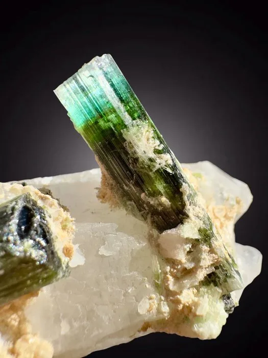 TOP! Terminated tourmaline crystals on matrix Mineral Collection - Height: 7 cm - Width: 4 cm- 89 g - (1)