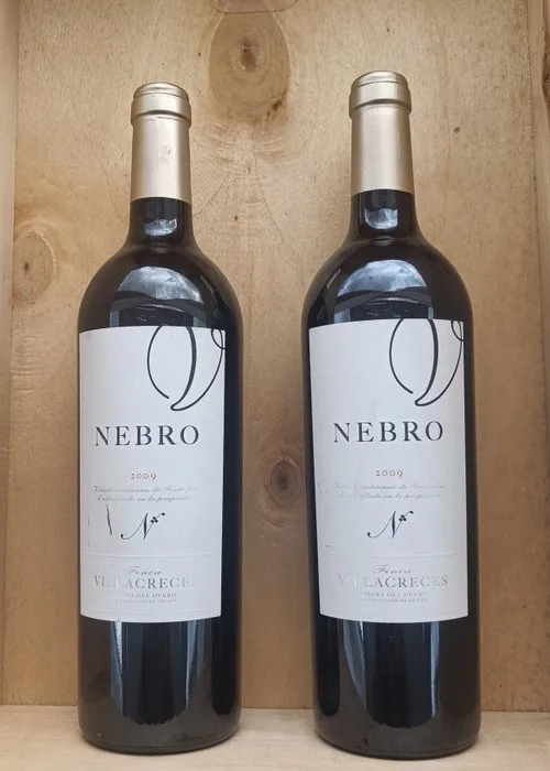 2009 Finca Villacreces, Nebro - Ribera del Duero - 2 Bottles (0.75L)