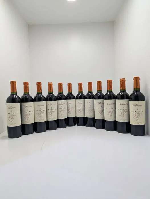 2020 Bodegas Valduero, Una Cepa - Ribera del Duero - 12 Bottles (0.75L)