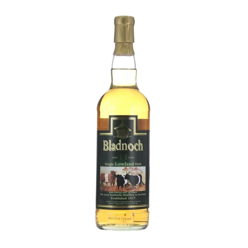 Bladnoch – 13 Year Old - Belted Galloways