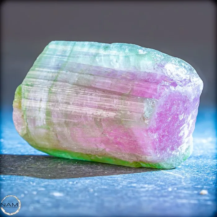 Watermelon Tourmaline – Elegant crystal with intense pink-green zoning - 66.40 ct- 13.28 g