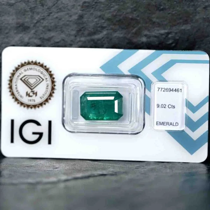 1 pcs Green Emerald - 9.02 ct - International Gemological Institute (IGI)