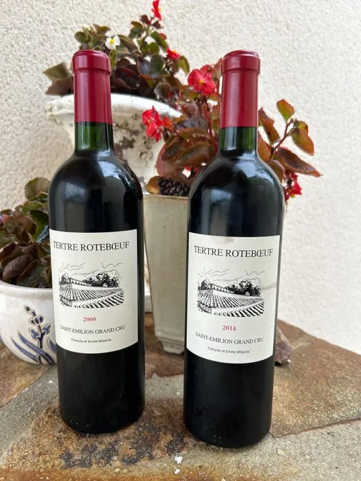 2009 & 2014 Tertre Roteboeuf - Saint-Émilion - 2 Bottles (0.75L)