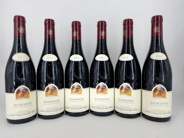 2016 Mugneret Gibourg, - Red Burgundy - 6 Bottles (0.75L)
