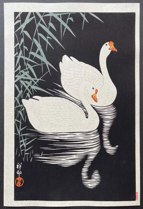 Two Geese Swimming near Reeds - Ohara Koson (1877-1945) - Japan