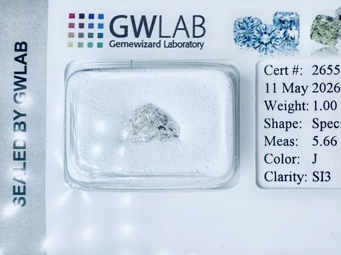 1 pcs Diamond (Natural) - 1.00 ct - Fancy - J - SI3 - Gemewizard Gemological Laboratory (GWLab) - ( NATURAL ) - HORSE HEAD