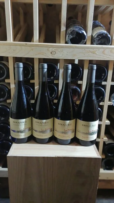 2017 x 2 & 2018 x 2 Errazuriz 'Las Pizarras' Pinot Noir - Aconcagua Valley - 4 Bottles (0.75L)
