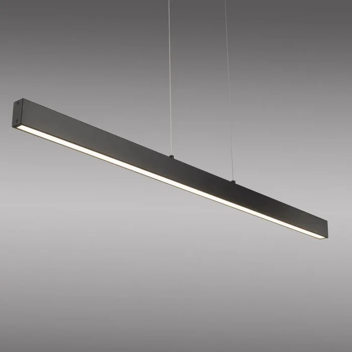 Paul Neuhaus - Ceiling lamp - Vi2 - Black - Metal