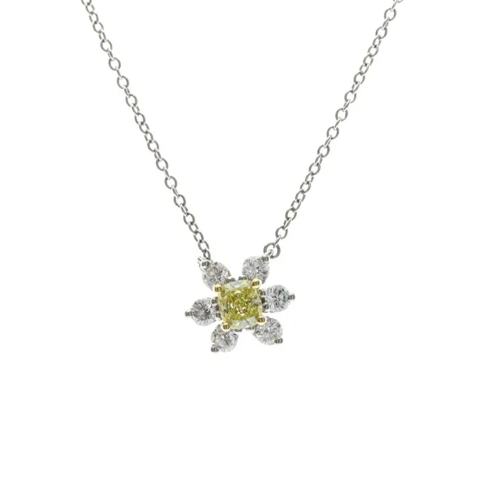 Tiffany & Co. - Necklace - 18 kt. Platinum, Yellow gold