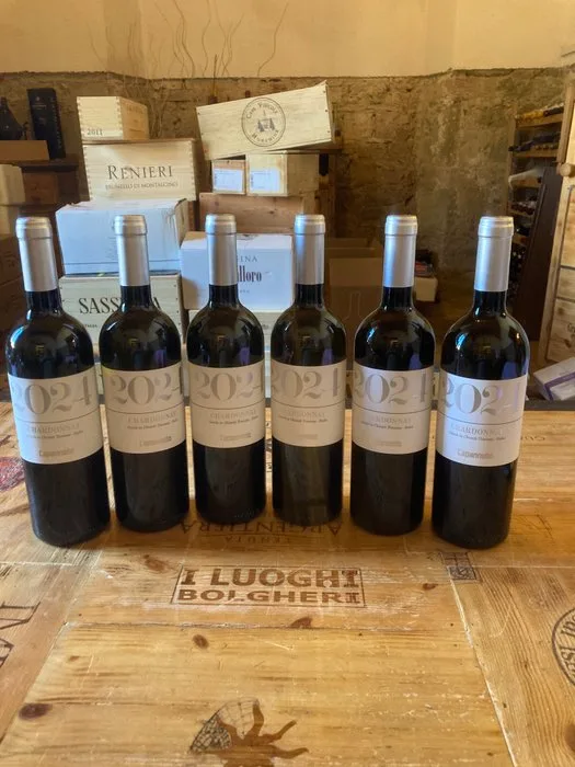 2024 Capannelle Chardonnay - Tuscany, Gaiole in Chianti IGT - 6 Bottles (0.75L)