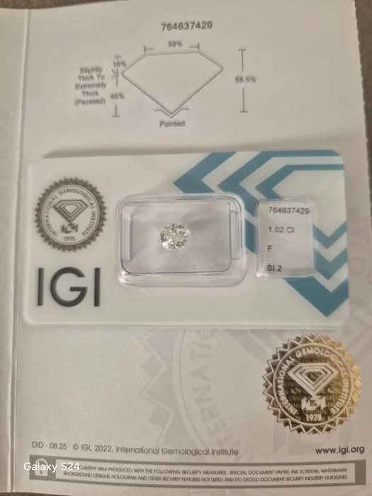 1 pcs Diamond (Natural) - 1.02 ct - Cushion - F - SI2 - International Gemological Institute (IGI) - F color