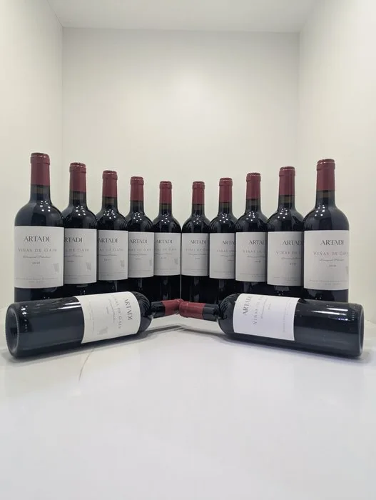 2021 Bodegas Artadi, Viñas de Gain - Rioja - 12 Bottles (0.75L)