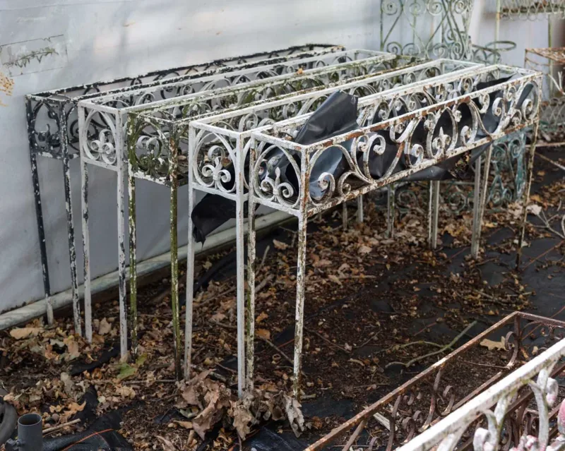 A group of five painted wrought iron plant stands The rectangular tops with scrolling ornament and standing on thin legs Each