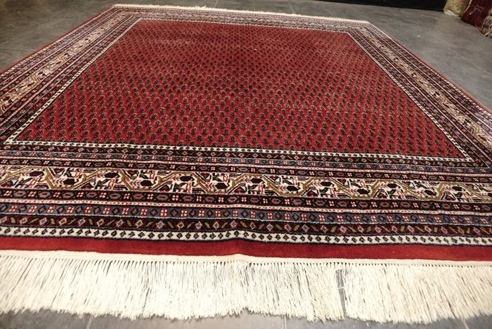 Sarough Mir - Carpet - 202 cm - 197 cm
