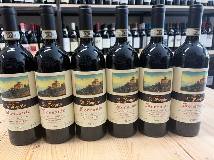 2019 Castello di Monsanto Vigneto Il Poggio - Chianti Classico Gran Selezione - 6 Bottles (0.75L)