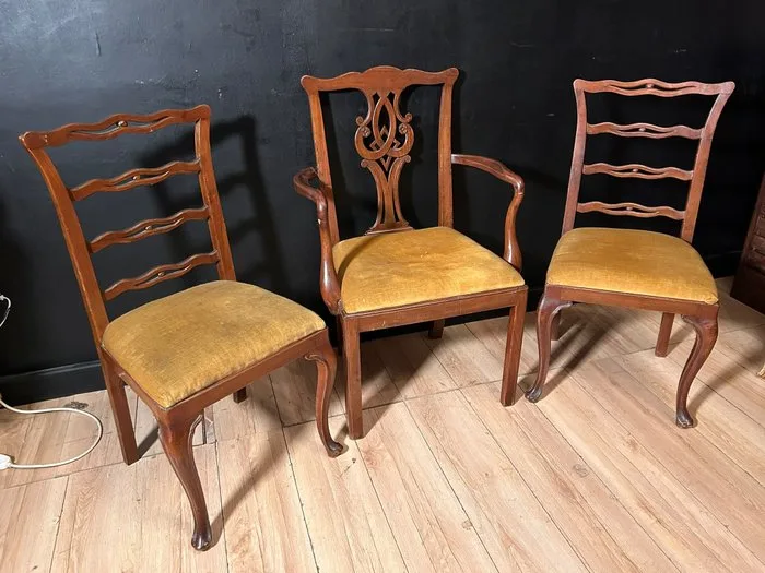 Chair - Accent - Wood, Velvet