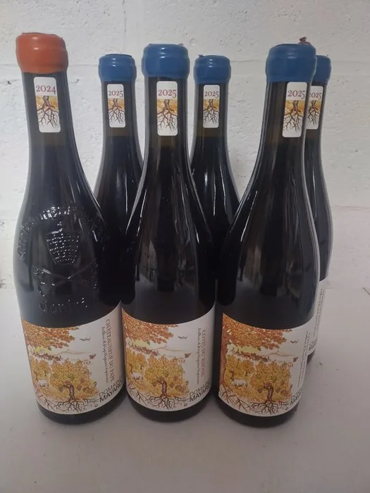 2025 Domaine Mayard - Châteauneuf-du-Pape - 6 Bottles (0.75L)
