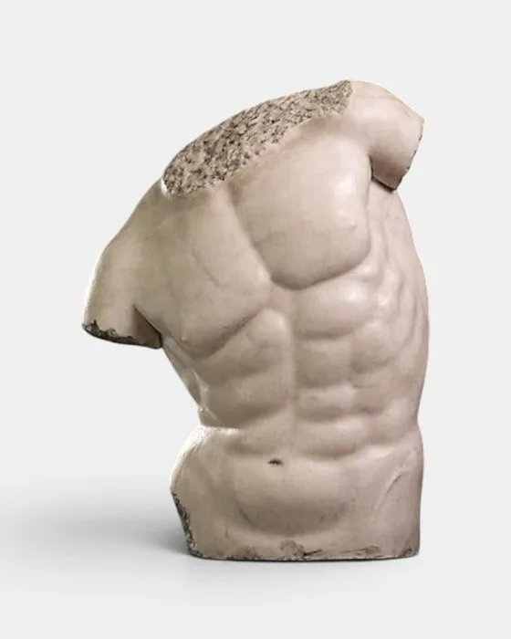 Bust, Grande Torso di Gaddi - 74 cm - Marble