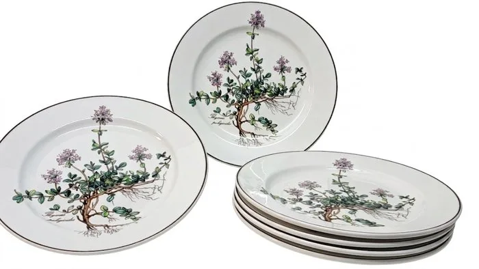 Villeroy & Boch - Breakfast plate (6) - Botanica - Vitro-Porcelain - Excellent condition
