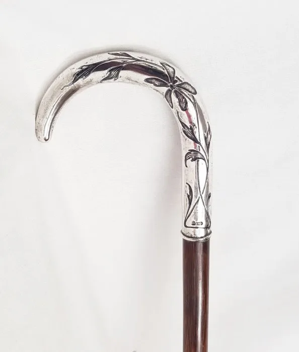 Walking stick - Silver and Wood