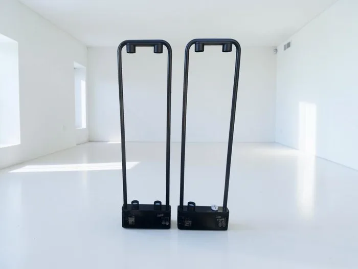 Zerbetto - Gian Nicola Gigante, Boccato & Zambusi - Lamp (2) - Metal - Duo Neon Lamps
