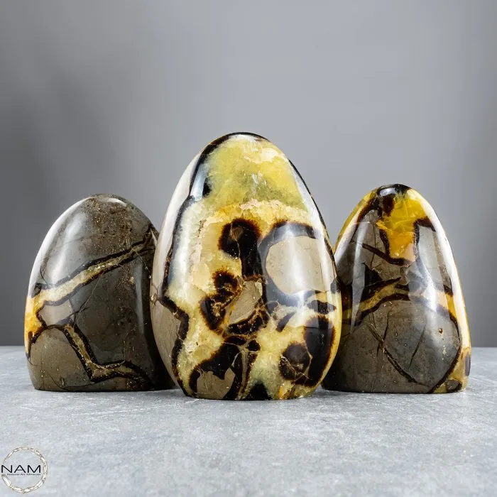 Powerful Earth energy – Exclusive Septarian Freeform Set in Warm Natural Colors- 2220.11 g - (3)