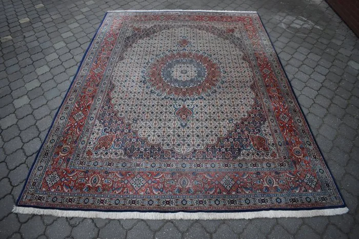 Moud - Rug - 355 cm - 245 cm