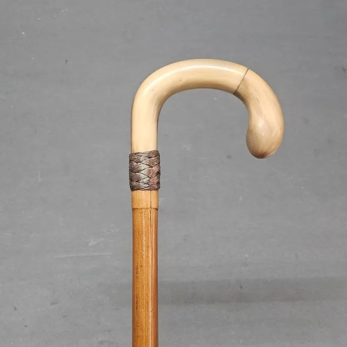 Walking stick - Horn, Wood - 1920s horn walking stick