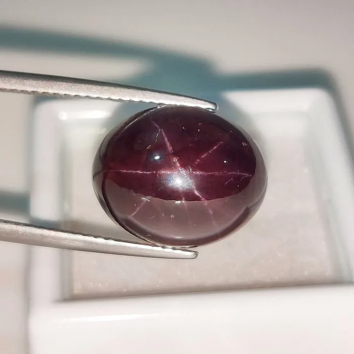 1 pcs Garnet - 15.82 ct - International Colored Gemstone Association (ICA GemLab) - Star Garnet !