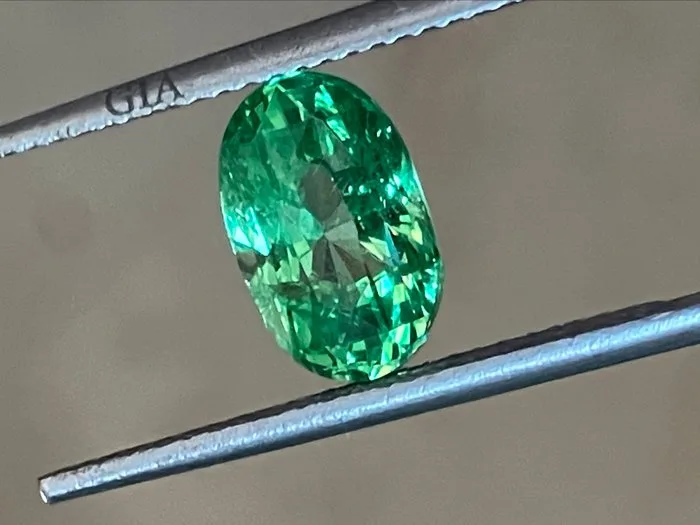 1 pcs Green Tsavorite - 2.54 ct - Gemological Institute of America (GIA)
