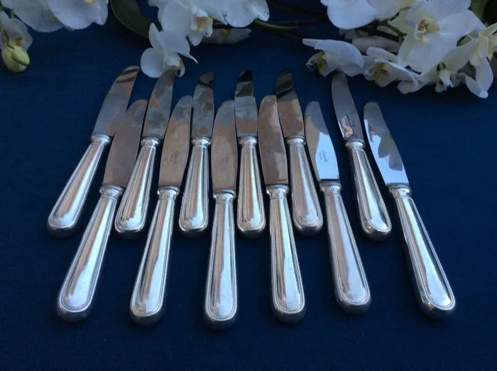 Christofle - Table knife (12) - Albi - Silverplated