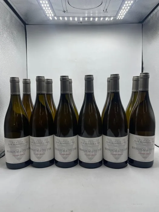 2022 Domaine Jean Monnier & Fils - Bourgogne Cote D'Or Chardonnay - 12 Bottles (0.75L)
