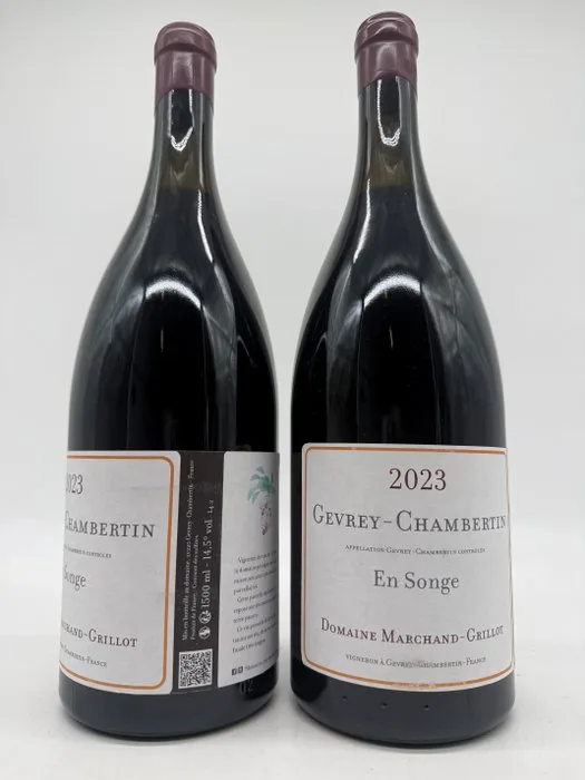 2023 Domaine Marchand-Grillot Gevrey Chambertin "En Songe" - Gevrey Chambertin - 2 Magnums (1.5L)