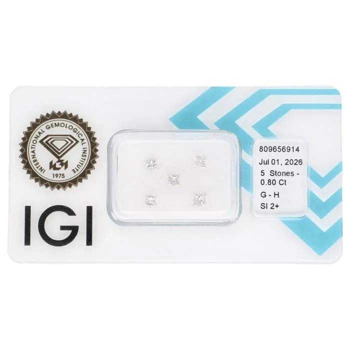 5 pcs Diamond (Natural) - 0.80 ct - G, H - SI2 - International Gemological Institute (IGI) - Princess Cut