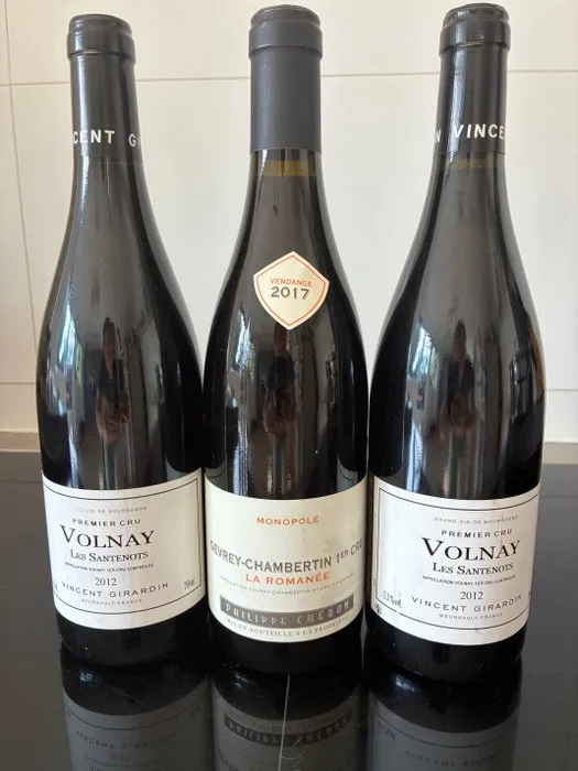 2012 x 2 Vincent Girardin Volnay "Les Santenots" & 2017 Philippe Cheron Gevrey-Chambertin "La Romanée". - Burgundy 1er Cru - 3 Bottles (0.75L)